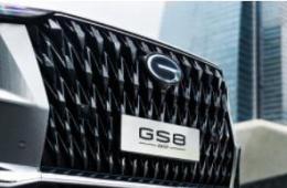 ȫɫ2024GS8ղ